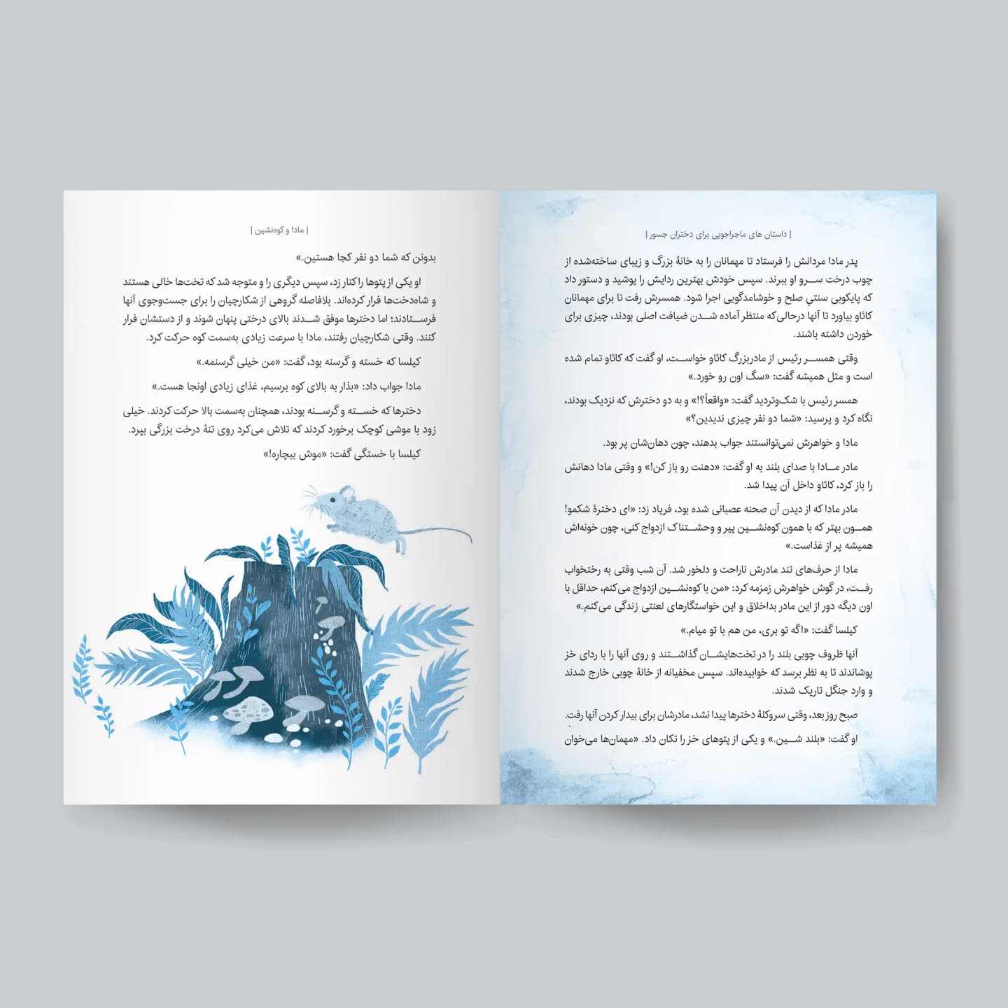 کتاب داستان‌های ماجراجویی برای دختران جسور